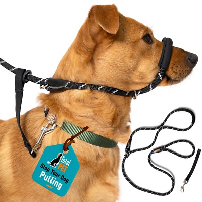 Figure of Dog Lead Leash Rope With Padding Collar Attachment Black  (M/L) UK