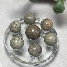 181g Natural dinosaur bone gemstone Crystal Seven Star Array Specimen Base A8530