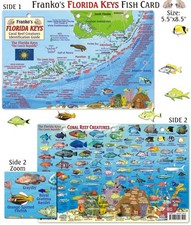 Franko Maps - Florida Keys Reef Creatures Fish ID