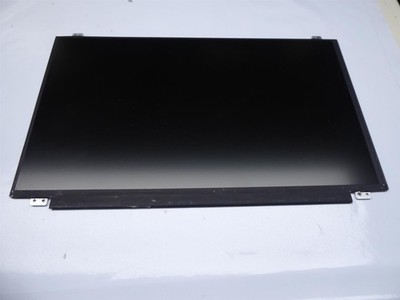 InnoLux N156HGA-EAB LED Display 15,6  matt 30Pol.