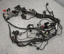 Main Wire Harness (TYPE 2) Wiring Loom 23-25 ...