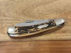 VINTAGE FIGHT'N ROOSTER 2 BLD/NICE STAG "SADDLEHORN TRAPPER" POCKET KNIFE- MINTY — photo 5