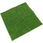 Bild 12 von 12