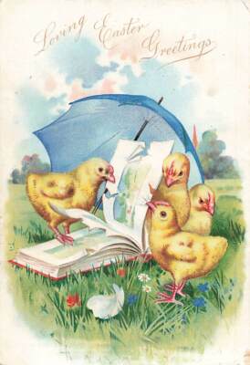 c1910 Raphael Tuck Chicks  Reading Book Umbrella Easter P360
