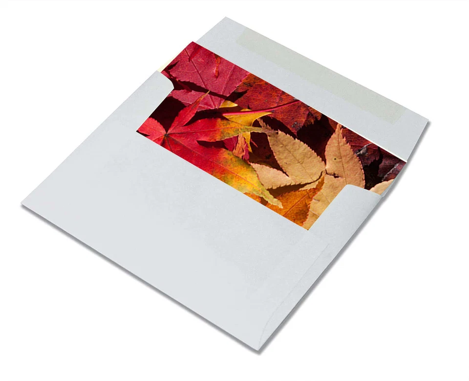 Tarjetas de notas escenas de otoño - en blanco por dentro con sobres - 5,5"x4,25"-12 o 24 paquetes Foto 4 de 4
