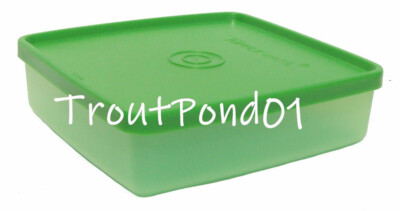 Tupperware Square Away Sandwich Keeper Sheer Green Vtg Style New