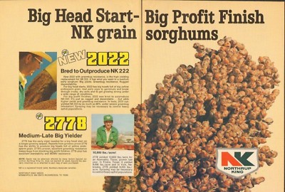 1978 2 Page Print Ad of NK Northrup King 2022 2778 Grain ...