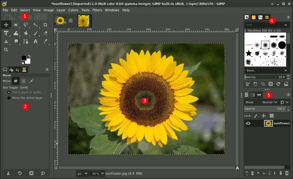 GIMP 2024 Photo Editing Tool Graphic Design, Image Enhancement | DVD, USB | 2025 - Image 3 of 4