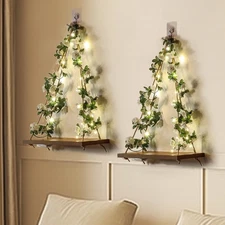 Wall Hanging Shelves with Light Strip,Plant Floating Shelf Set of 2 Wooden Sh...