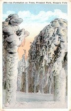 Ice Formation on Trees, c1910, Niagara Falls, New York