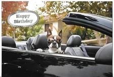 NEW LEANIN' TREE Card Happy Birthday!  Enjoy your midlife crisis!