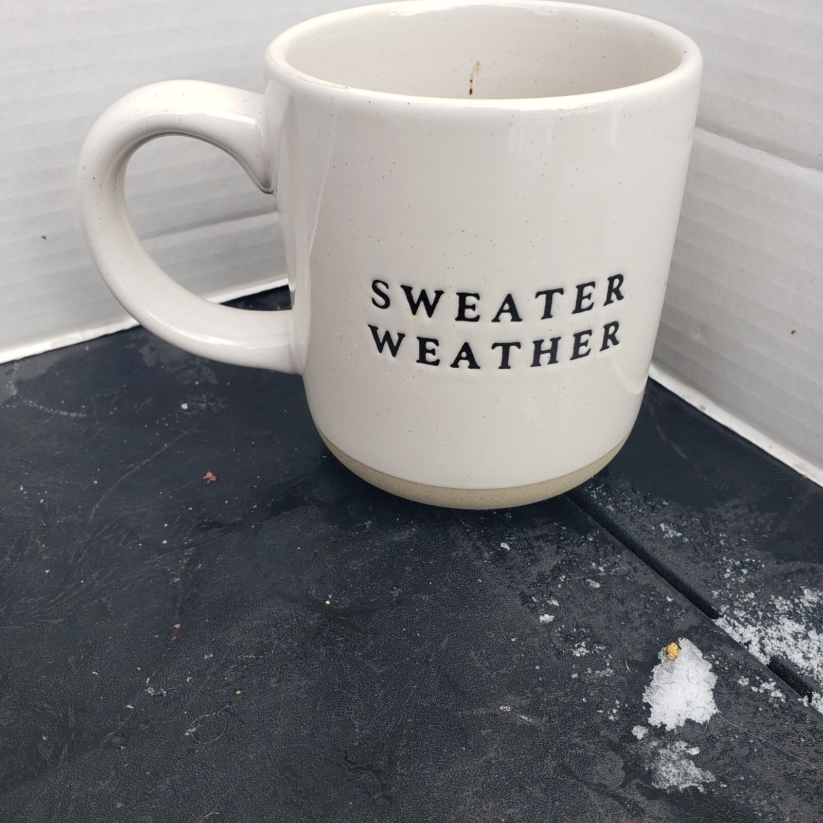 Sweater Weather 10 oz Mug Cream Stone USA Water Decor New Design-image