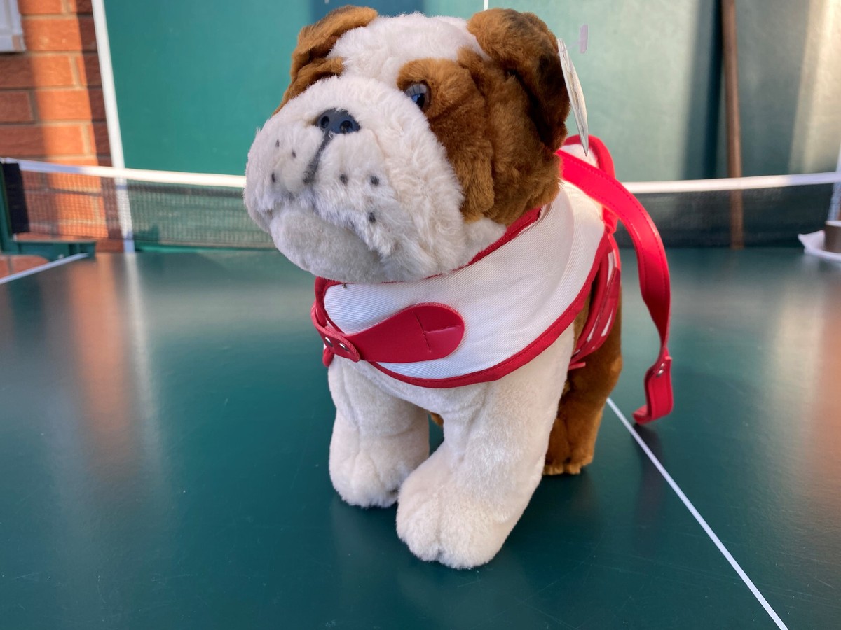 Color Chart Bulldog Coat Type Frenchie Coat Sales