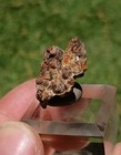 8.1 Gram Rare Parisite Crystal From Snowbird Mine Montana — photo 3