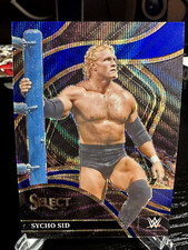 SYCHO SID 2024 PANINI - SELECT BLUE WAVE RINGSIDE 34/49