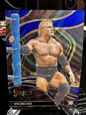 SYCHO SID 2024 PANINI - SELECT BLUE WAVE RINGSIDE 34/49