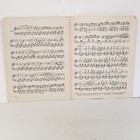 Foto 7 di 11