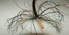 Bild 5 von 11