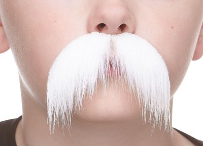 Mustaches Selbstklebender Walrus Gefälschter Schnurrbart für Kinder, Neuheit, F