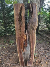 Black Walnut Slab (Live Edge) River Table Set  (Epoxy set) 2 Pieces NICE !!!