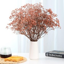 4500 Babys Breath Dried Flowers Bouquet 17 Inch Brown 5oz Gypsophila Branch