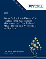 Luisa Dempere Campillo | Role Of Particle Size And Nature Of The Reactants On...