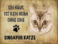 Holzschild 30X40 Cm Singapur Katze Ohne Kein Heim Deko Geschenk Holz Schild