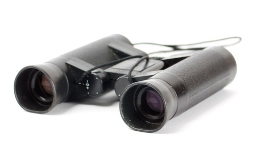 Zeiss West Germany 8X20B Compact Binoculars with Case - Picture 10 of 12
