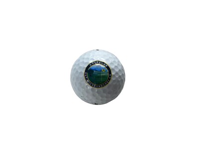 Dunlop Golfball Steelcore DDH Distance Golf Club Gut Wissmannshof e.V. Logo