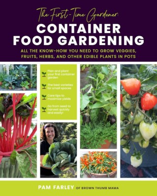 The First-Time Gardener: Container Food Gardening: All the know-how you need ...