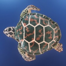 Melissa  Doug Sea Turtle Plush Giant Stuffed Animal 34" Realistic Lifelike