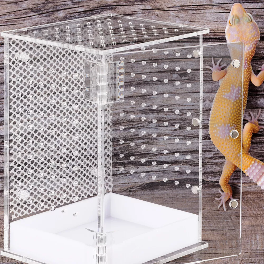Lizard playpen clearance