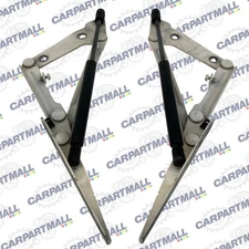 05-10 Pontiac G6 Rear Trunk Deck Lid Tailgate Tail Gate Boot Hinges Struts OEM