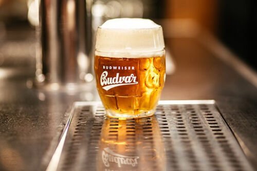 Budweiser Budvar Premium Pilsner Czech Lager Palette Dosenbier 24 x 0,33l - Bild 5 von 5