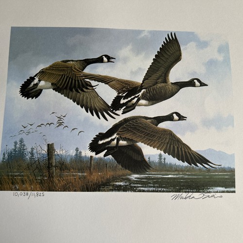 Michael Sieve Oregon erster Wasservogel Stempel Gans 1984 - Bild 6 von 9