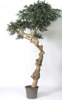 Artplants Kunststoff Olivenbaum Rogelio, Mit FrüChten, 275Cm, Ø160/180Cm