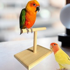 Bird Perch Stand Portable Bird Training Stand for Parrots Lovebirds Birds