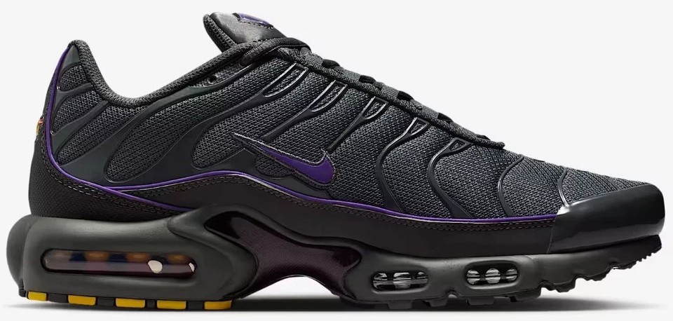 Nike Air Max Plus Wild Grapeナイキエアマックスプラス Nike Air Max Plus Iron Grey Wild Grape for Sale | Authenticity