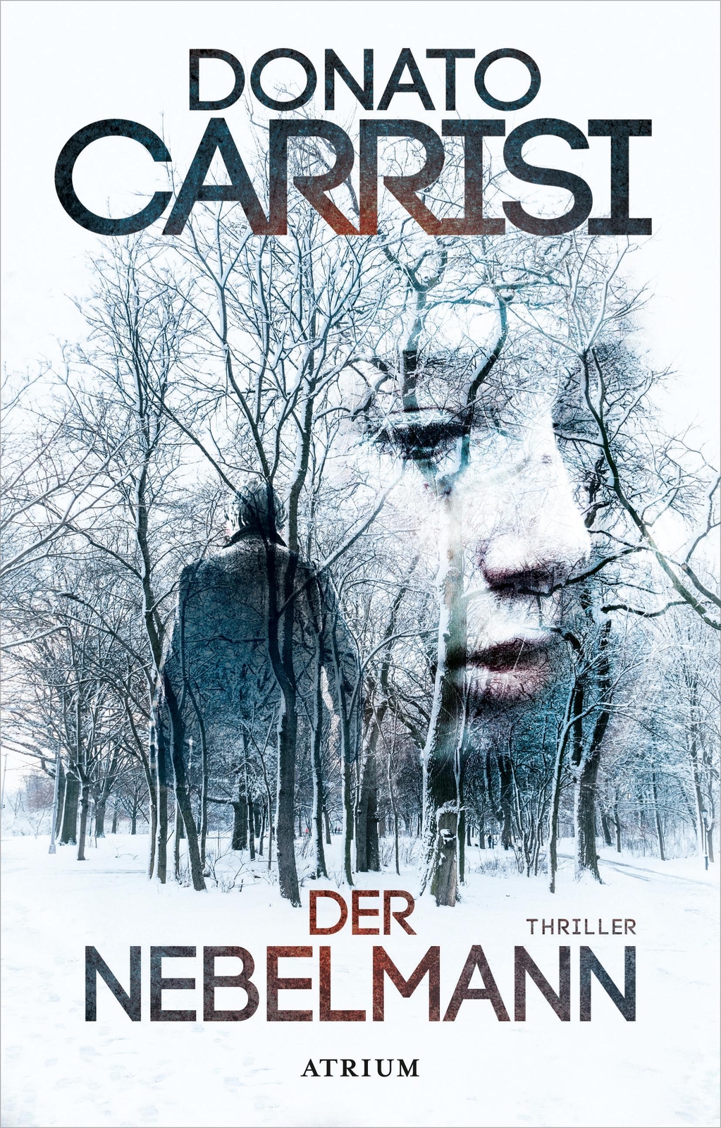 Thumbnail - Der Nebelmann Donato Carrisi
