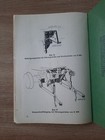 Picture 8 of 8