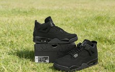 Air Jordan 4  Black Cat  