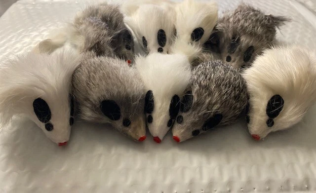 GO CAT RATTLE MICE LONG TAIL INTERACTIVE TOY CAT NIP KITTEN PLAY 3 INCH 10 COUNT
Opens in a new wind