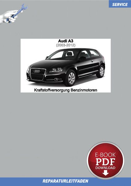 PDF Audi A3 (2003-2013) Reparaturanleitung Kraftstoffversorgung Benzinmotoren-image