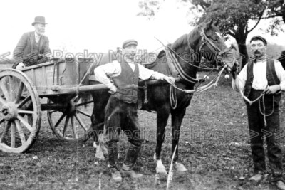 Rdr-52 Landwirtschaftsszene, Pony und Falle, Somerset. Foto