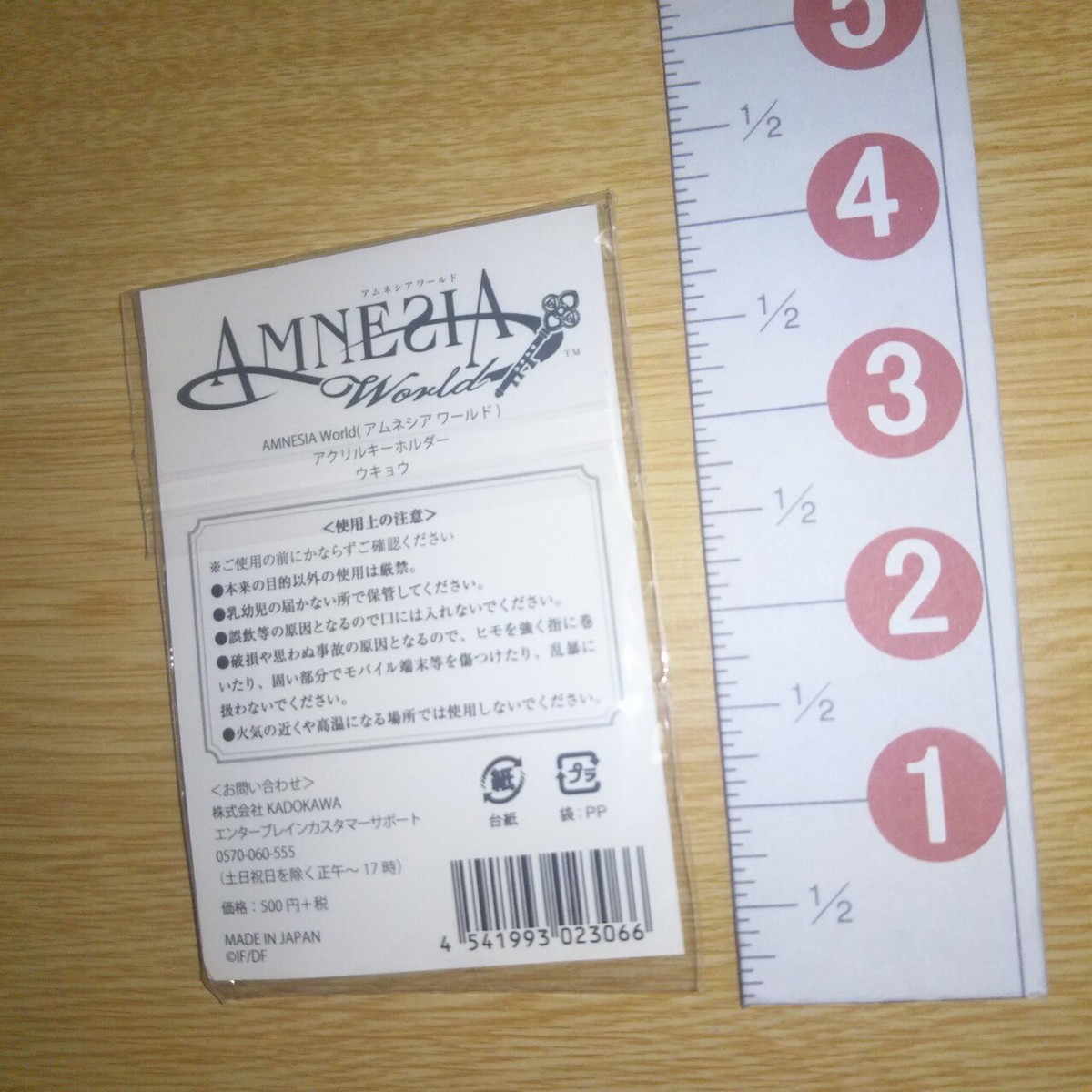 A47656 AMNESIA Idea Factory Acrylic Keyholder Ukyo | eBay