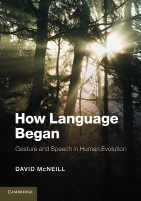 Wie Sprache begann: Geste und Sprache in der menschlichen Evolution (Appro