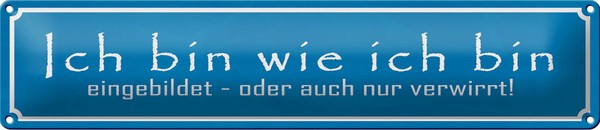 Blechschild Spruch 46X10Cm Ich Bin Wie Ich Bin Eingebildet Dekoration-image