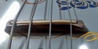 Bild 11 von 12