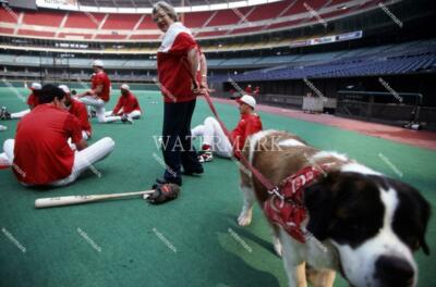 EZ225 Marge Schott Cincinnati Reds St Bernard Schottzie 8x10 11x14 16x20 Photo