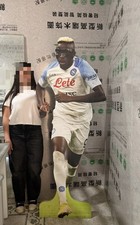 Sagoma Victor Oshimen Ssc Napoli